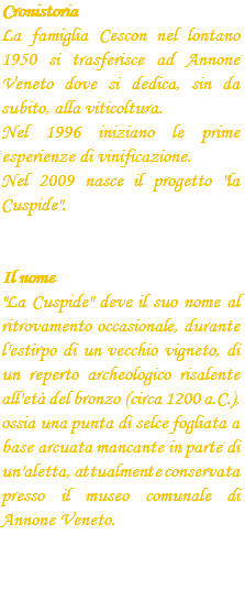 Cronistoria La famiglia Cescon nel lontano 1950 si trasferisce ad Annone Veneto dove si dedica, sin da subito, alla viticoltura. Nel 1996 iniziano le prime esperienze di vinificazione. Nel 2009 nasce il progetto "la Cuspide". Il nome "La Cuspide" deve il suo nome al ritrovamento occasionale, durante l'estirpo di un vecchio vigneto, di un reperto archeologico risalente all'età del bronzo (circa 1200 a.C.), ossia una punta di selce fogliata a base arcuata mancante in parte di un'aletta, attualmente conservata presso il museo comunale di Annone Veneto.!!!! 